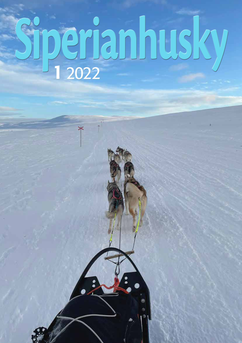 SH_1-2022-kansi-net